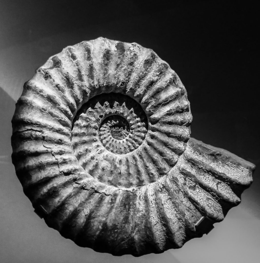 formation trading Tout savoir sur le Nombre d'Or de Fibonacci