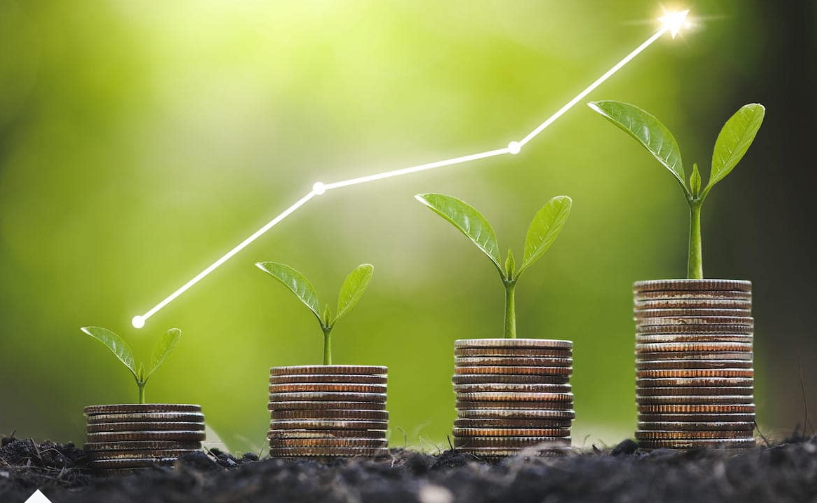 Finance durable : comment investir dans la transition écologique